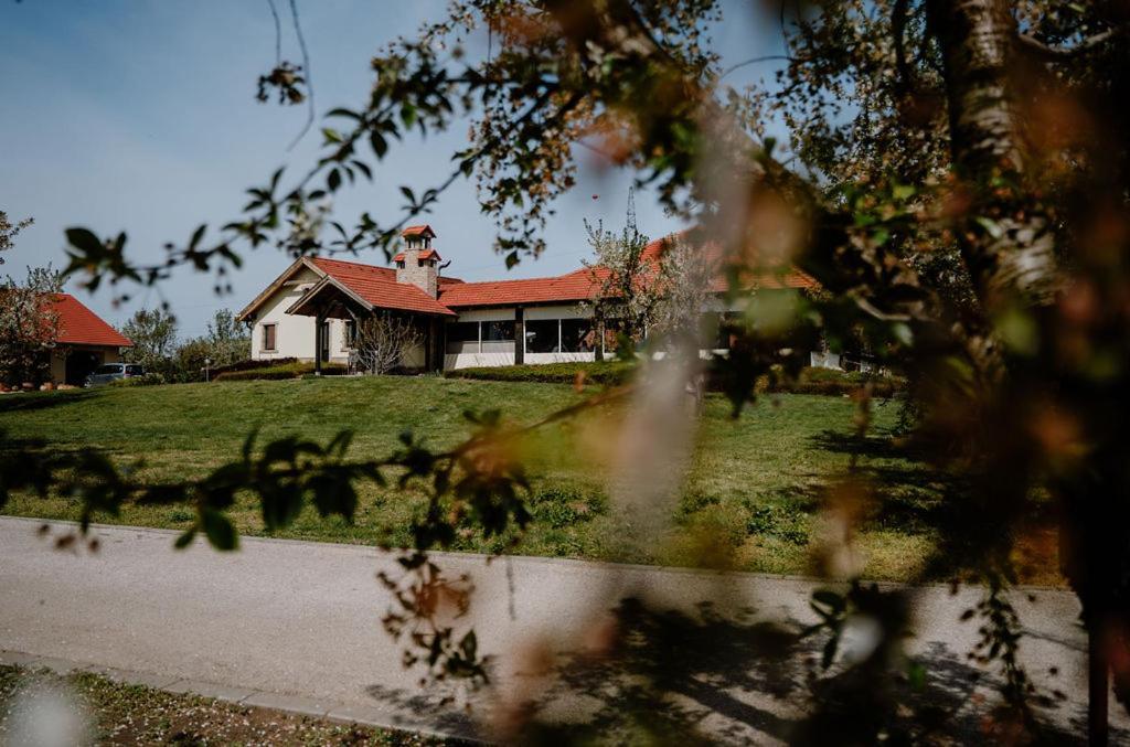 Beni Family Wine Farm Villa Cegléd Eksteriør billede