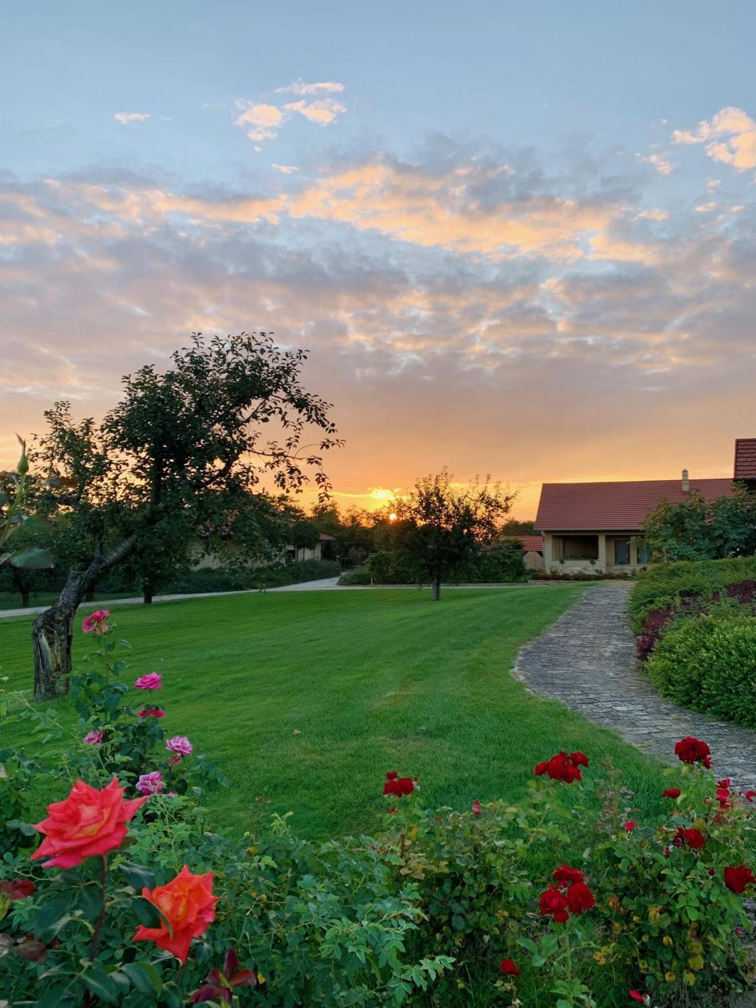 Beni Family Wine Farm Villa Cegléd Eksteriør billede